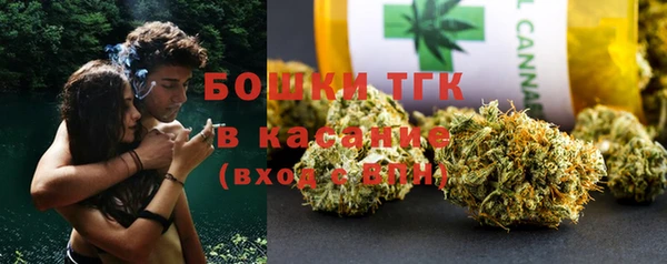 сатива Алзамай