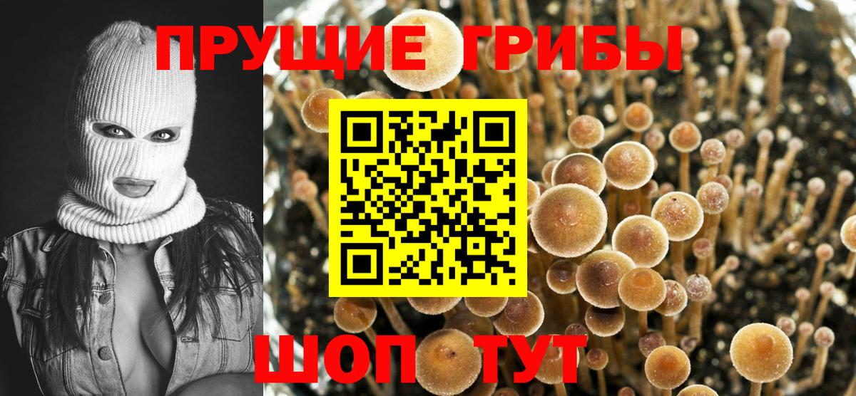 Галлюциногенные грибы ЛСД Кимры