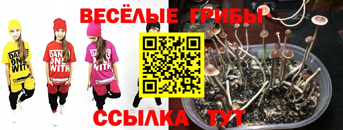 Галлюциногенные грибы ЛСД  Псилоцибиновые грибы мухоморы  Кимры  Вход с VPN 