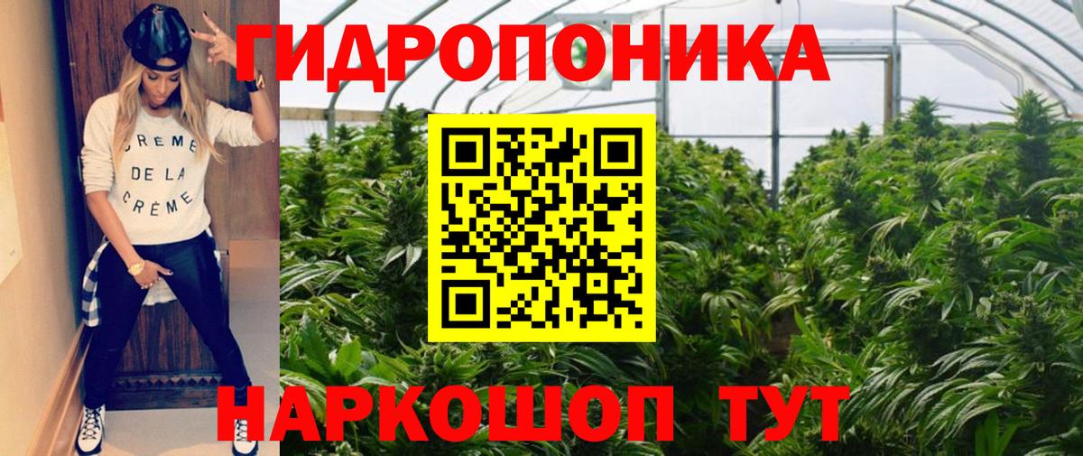 Шишки марихуана план Кимры